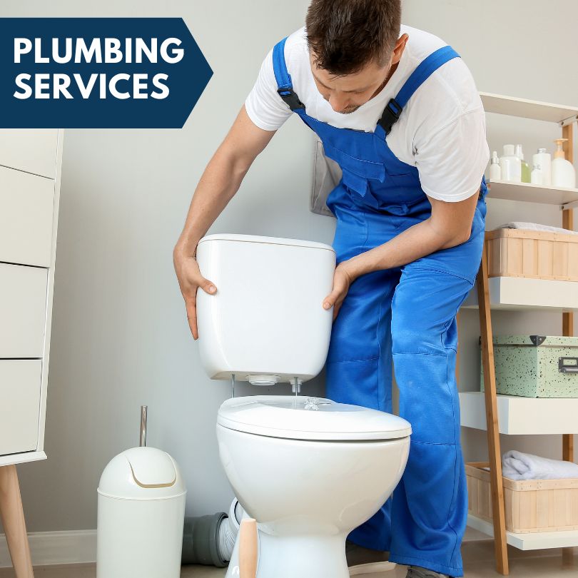 Plumbing Company in Homer Glen, IL